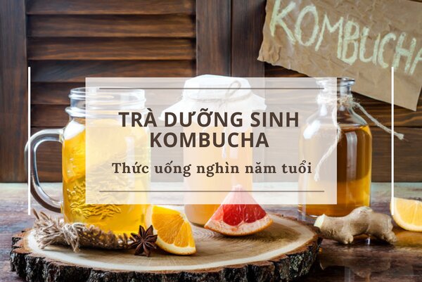 LỢI ÍCH TỪ TRÀ KOMBUCHA VỚI SỨC KHỎE HÀNG NGÀY