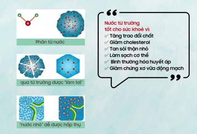 Nước Quantum (Nước Lượng Tử) – Nguyên Liệu Độc Quyền Tại Hệ Thống Sản Xuất IMC 6